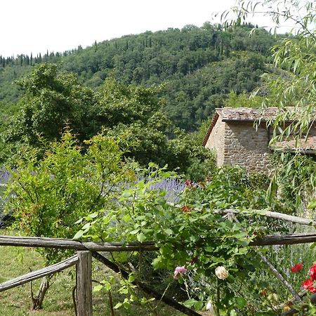 Il Capriolo Βίλα San Cerbone Εξωτερικό φωτογραφία