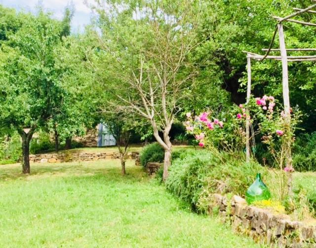 Il Capriolo Βίλα San Cerbone Εξωτερικό φωτογραφία