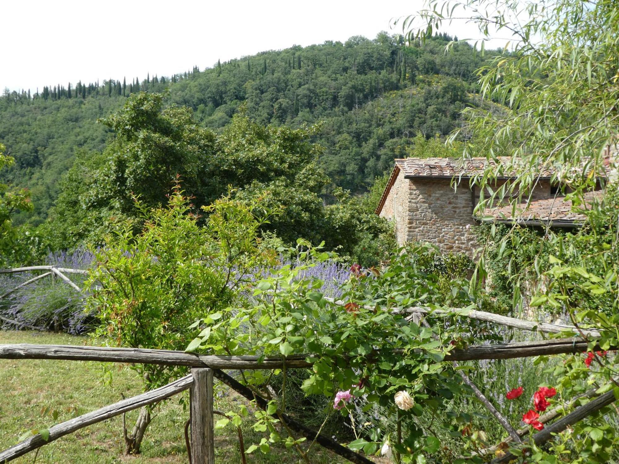 Il Capriolo Βίλα San Cerbone Εξωτερικό φωτογραφία